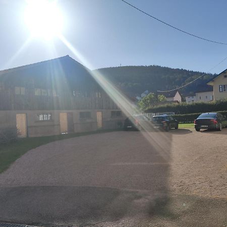 Le Cozy Nest Appartement Gérardmer Buitenkant foto